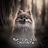 💰𝑺𝒖𝒄𝒄𝒆𝒔𝒔𝒇𝒖𝒍_𝒅𝒐𝒈𝒔📉