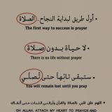 خ ـوآطـر هآدئة🤍