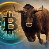 Bullish Trend - Best Opportunity.