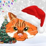 Котосховище🇺🇦