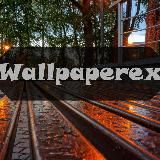 Wallpapers | Wallpaperex