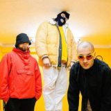 ✅ Грибы (Дискография)