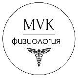 Физиология 🏃♂