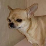 Обсуждалка🔈