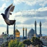 سَـــماء الـــرِضّا