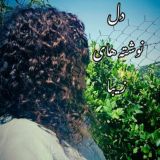 دل نوشته های زیبا..