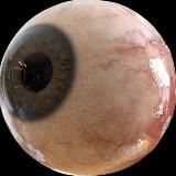 𝐈𝐍𝐊 𝐀𝐑𝐓𝐈𝐒𝐓𓂆