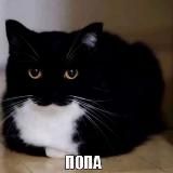 Самоучитель польского:3