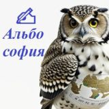 Комментарии канала Альбософия 👨🏻‍💻👩🏼‍💻safinshorts