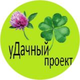 уДачный проект