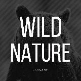 Wild Nature