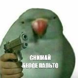 Снимай БЕЛОЕ ПАЛЬТО!