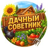 Дачный советник | Сад и огород