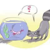 Racoooooonn coon coon