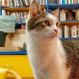 Фототропа: путешествия с фотоаппаратом