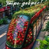 Мандарины из Абхазии, рыба , клубника в Чите!