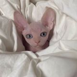 Подработка в Канске