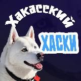 Новости | Хакасский хаски