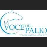La Voce del Palio