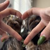 🤍сосиски йоркширские🐶