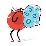 Bali👩🔬 / 🔬Medicina Curiosa 🤓