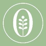 Organicwoman/ твой велнесс гид