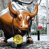 Crypto Bullrun