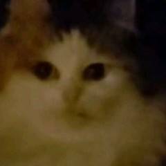 Чат/Chat