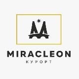 Работа MIRACLEON