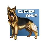 CLEVER_AMUR