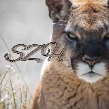 ⪻ ︎︎ …𝚂𝚉𝙷 - 𝙰𝚐𝚒𝚝𝚊𝚝𝚘𝚛𝚜… ⪼