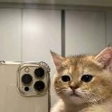 ‣ 𝗨𝗻𝗶𝗻𝗰𝗲 پک استیکر ؛