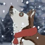 Знакомьтесь, Кэс.