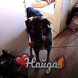 🦾Гений🌇❤️