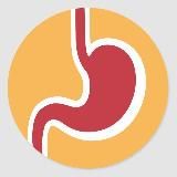 Я Гастроэнтеролог Гастроэнтерология