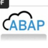 SAP ABAP / FIORI / CAPM Technical Team