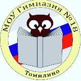 МОУ гимназия 18 Томилино