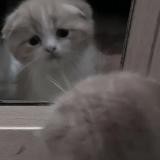 ✧ ivwiroa переезд