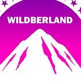 WildberLand — Покупки на Вайлдберриз