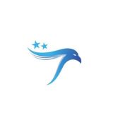 المعسكرات والتحديات