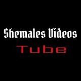 Shemales videos tube