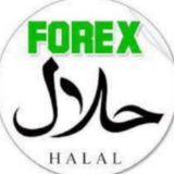 باقات استثمار وتسليم ارباح 📊