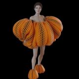 Истории сороки Елены