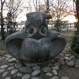 Записки семейного доктора | Михаил Фомин