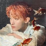 hwa(ря) вещает🫀