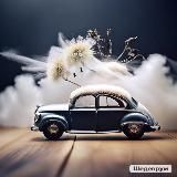 Твоя ласточка 🚘