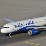 𝗜 𝗡 𝗗 𝗜 𝗚 𝗢 𝗟 𝗜 𝗡 𝗘 ™️