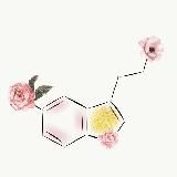 Maria’s notes: nutrition and health