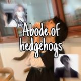 закрыто ᴄɪʀᴄᴜs ᴡᴏʀʟᴅ 🎪