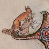 На своей латыни | Алина Звонарева